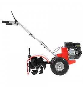 Glebogryzarka spalinowa Faworyt NGT48F-196L Loncin