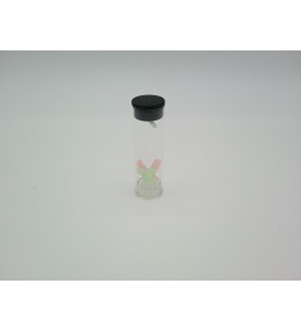 Xylla WiFi Otoskop do Uszu 1920P HD Kamera 6 LED Czyszczenie Woskowiny USB-C
